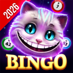 Bingo Wonderland - Bingo Game