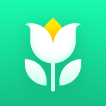Plant Parent: Plant Care Guide