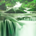 Wallpapers Nature