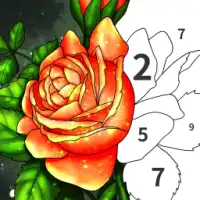 Art Color: Color by Number