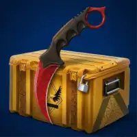 Case Royale CS2 Case Simulator