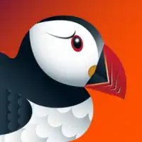 Puffin Flash Browser